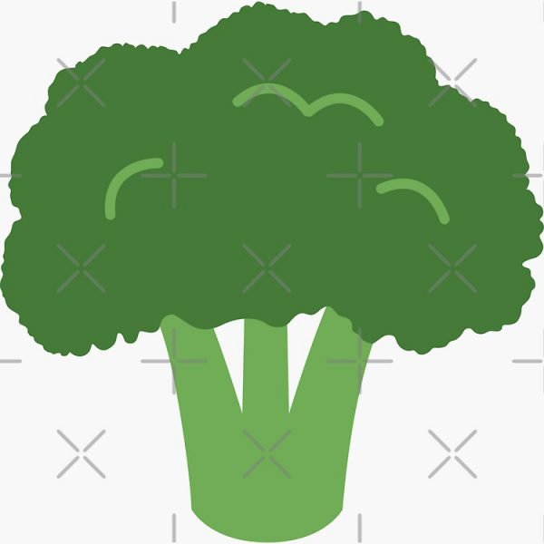 Broccoli